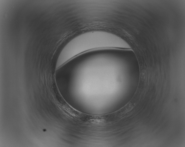 X0000053010552200507081024