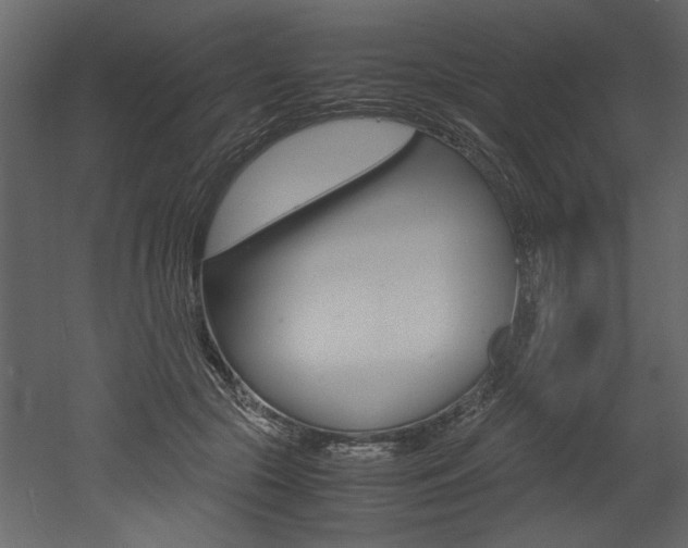 X0000053010553200507081024