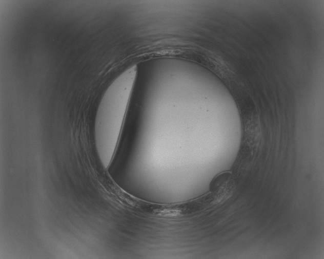 X0000053010554200507081024