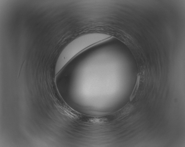 X0000053010558200507081024