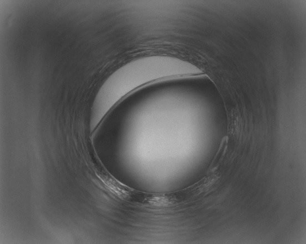 X0000053010562200507081024