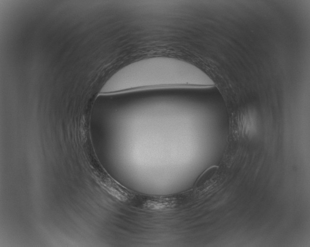X0000053010563200507081024