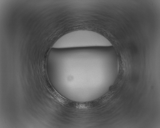 X0000053010565200507081024