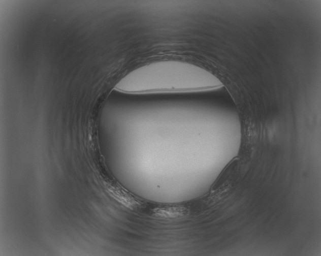 X0000053010567200507081024
