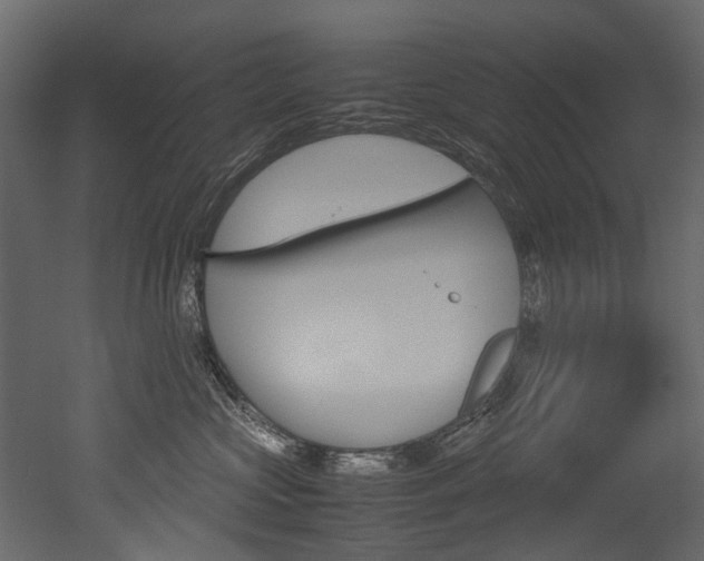 X0000053010573200507081024