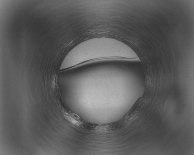 X0000053010574200507081024