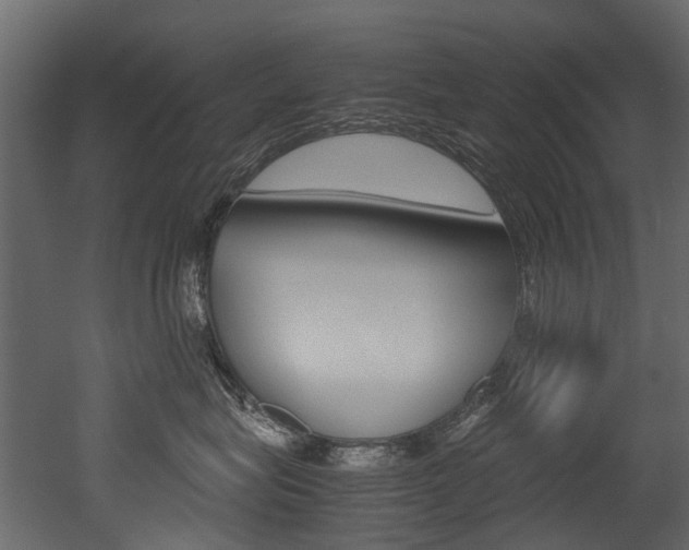 X0000053010575200507081024