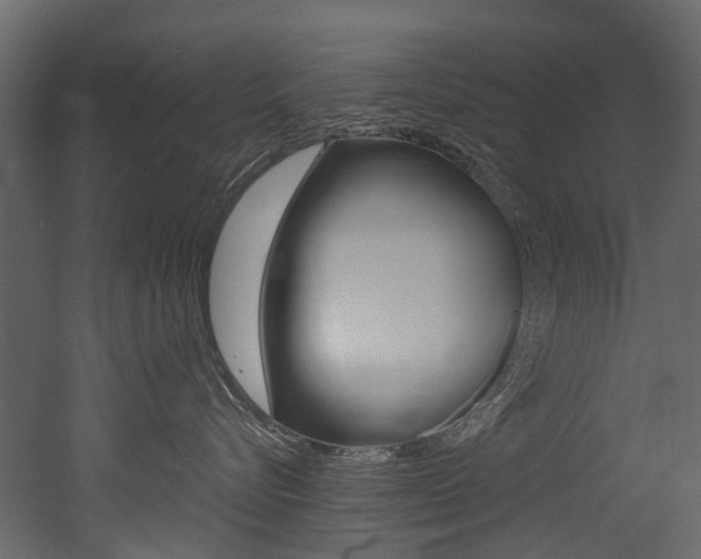 X0000053010576200507081024