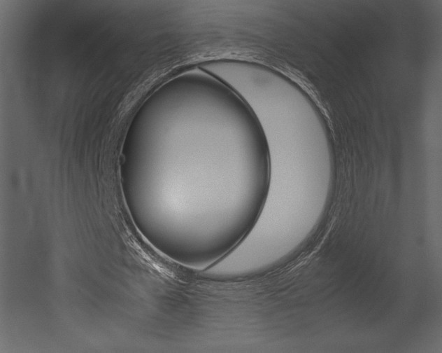 X0000053010577200507081024