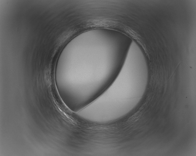 X0000053010578200507081024