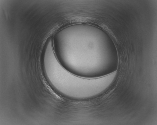 X0000053010581200507081024