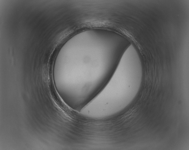 X0000053010582200507081024