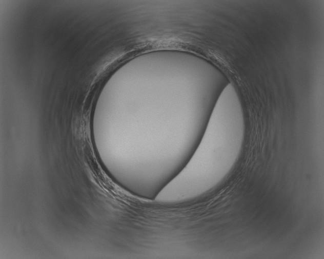 X0000053010583200507081024