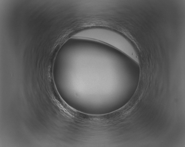 X0000053010585200507081023