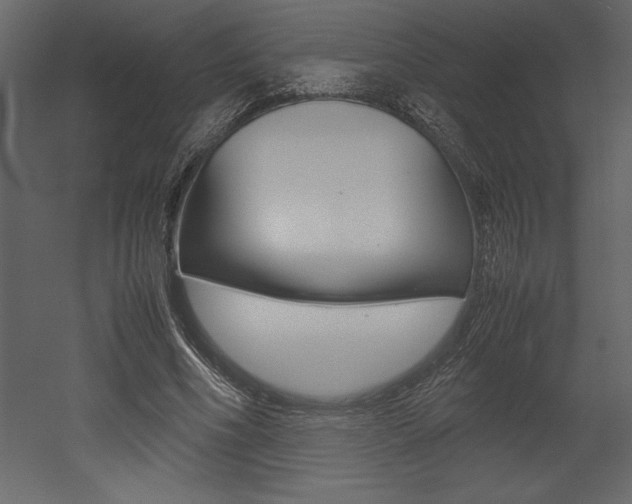 X0000053010586200507081023