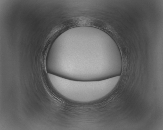X0000053010587200507081023
