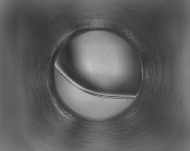 X0000053010588200507081023