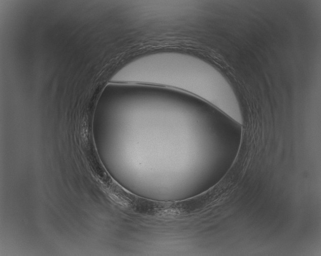 X0000053010593200507081023