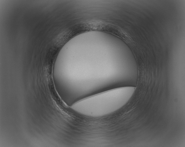 X0000053010594200507081023