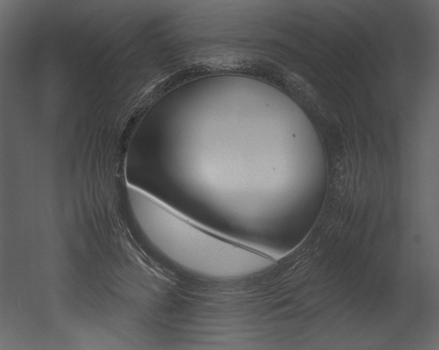 X0000053010596200507081023
