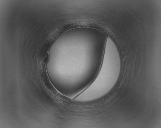 X0000053010597200507081023