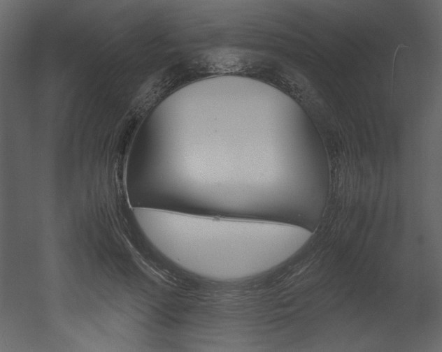 X0000053010598200507081023