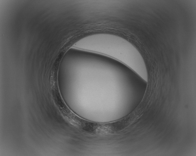 X0000053010599200507081023