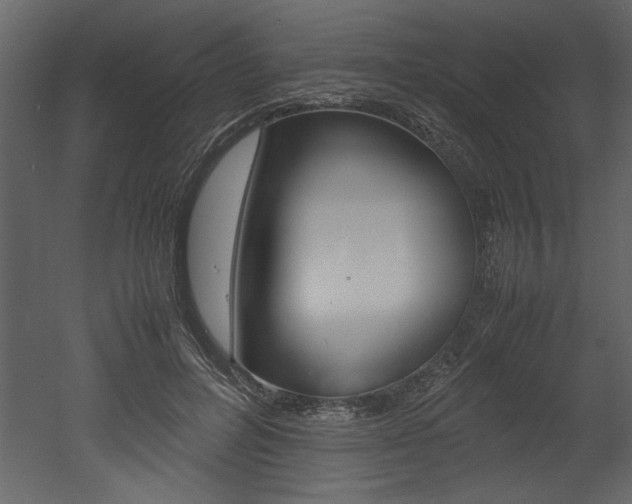 X0000053010600200507081023