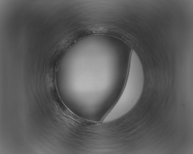X0000053010604200507081023