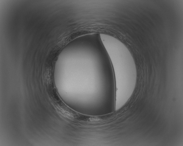 X0000053010605200507081023