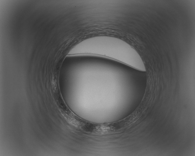 X0000053010607200507081023