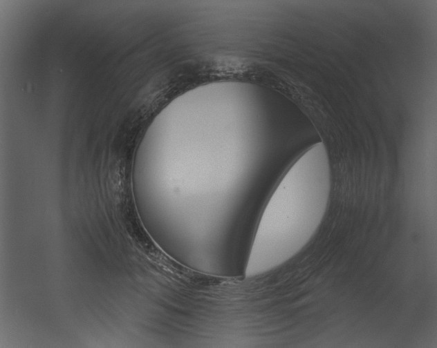 X0000053010608200507081023