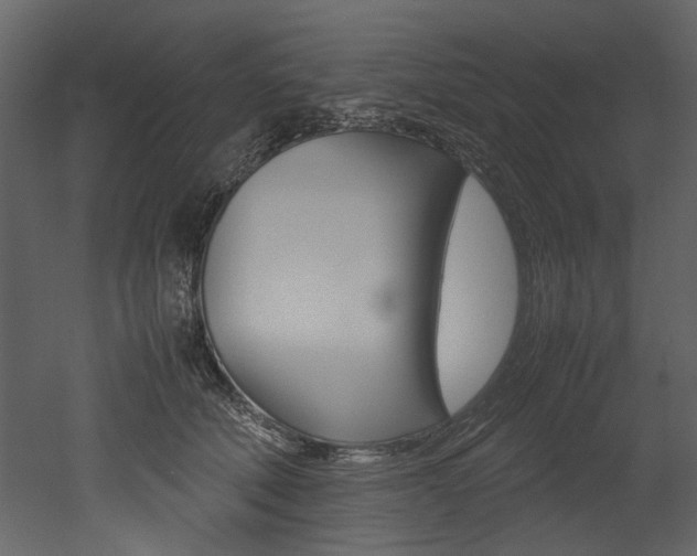 X0000053010610200507081023