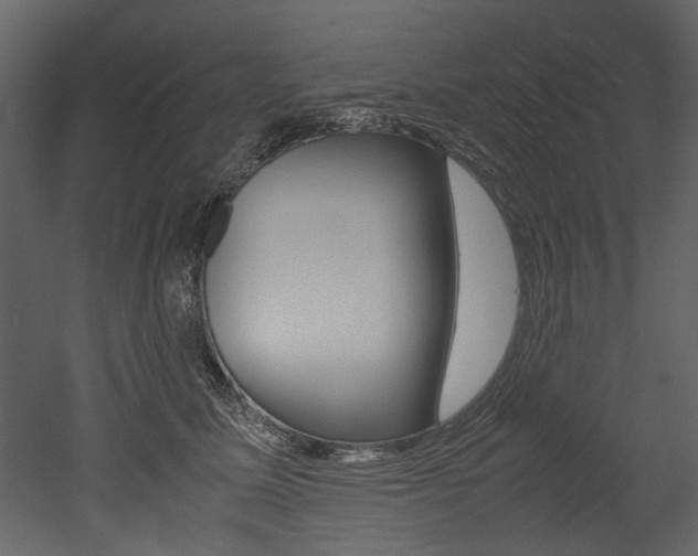 X0000053010611200507081023