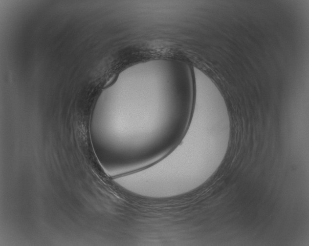 X0000053010613200507081023