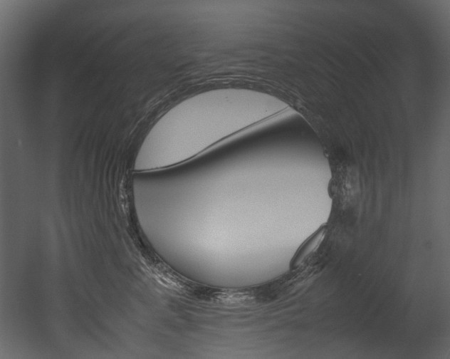 X0000053010619200507081023