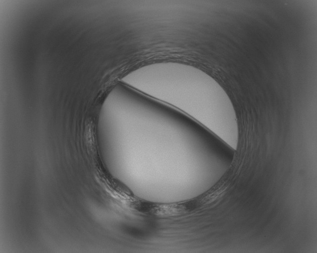 X0000053010623200507081023
