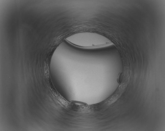 X0000053010624200507081023