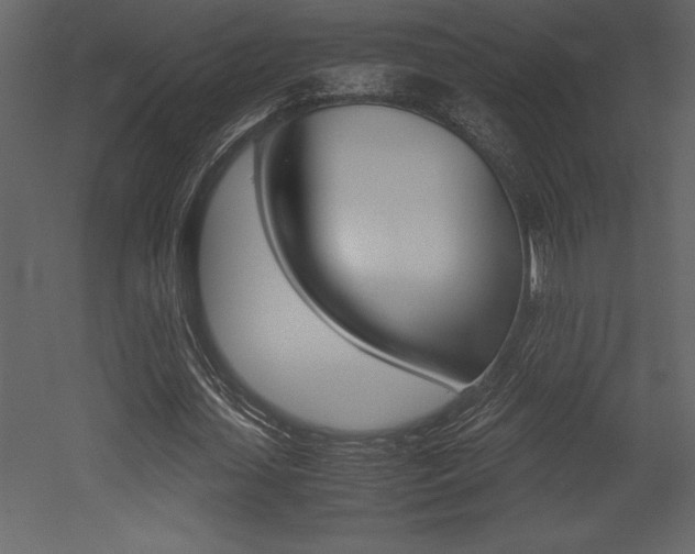 X0000053010627200507081022