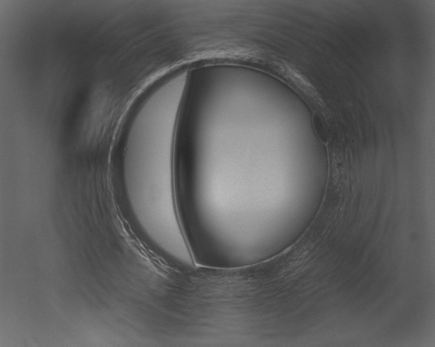X0000053010628200507081022