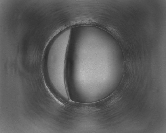X0000053010630200507081022