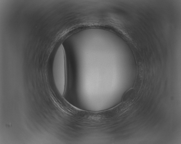X0000053010631200507081022