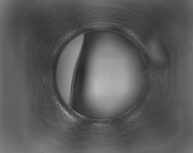 X0000053010633200507081022