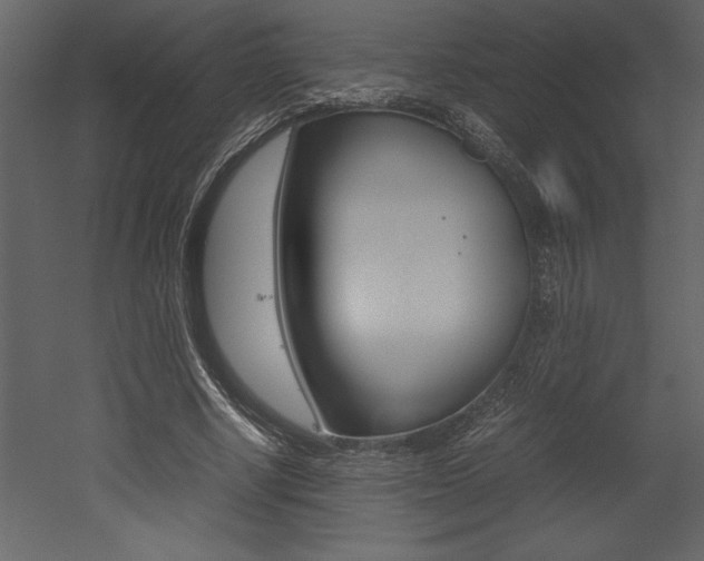 X0000053010634200507081022