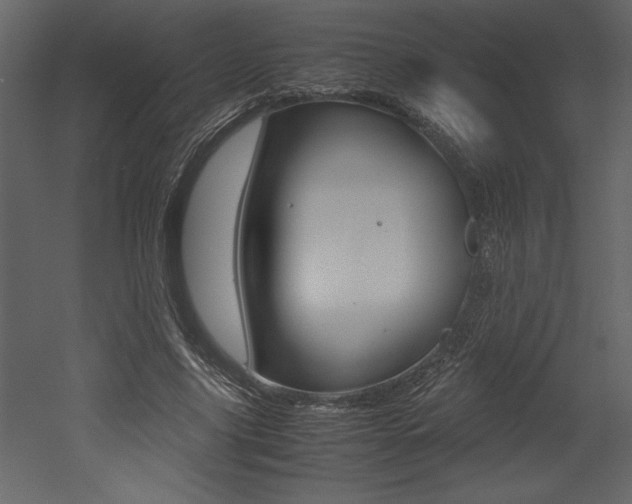 X0000053010635200507081022