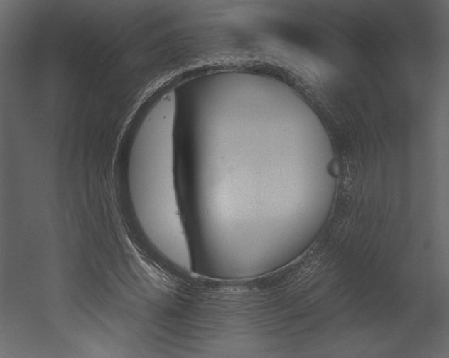 X0000053010636200507081022