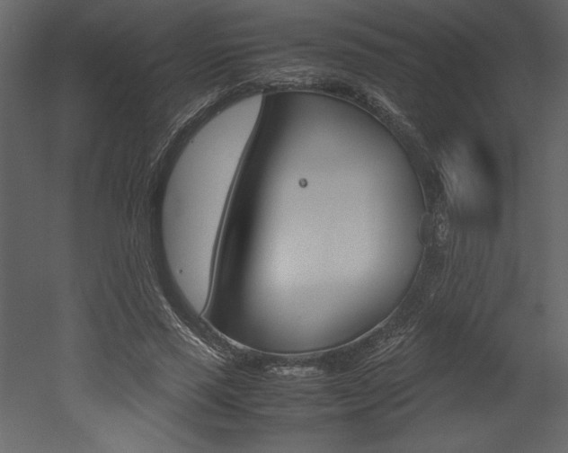 X0000053010637200507081022