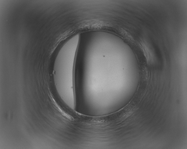 X0000053010638200507081022