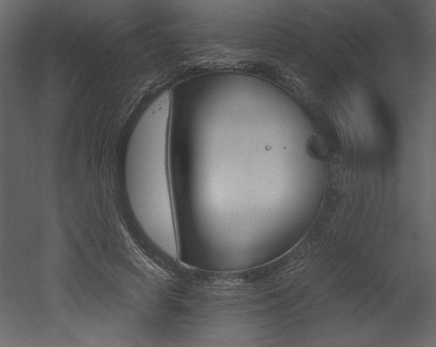 X0000053010642200507081022