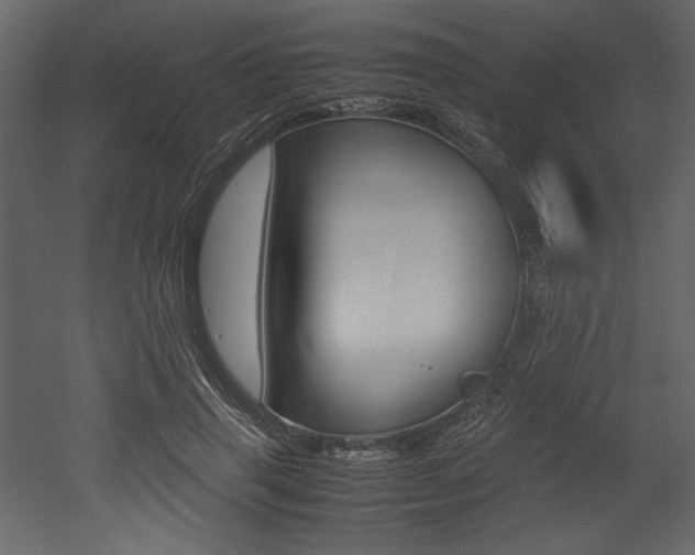 X0000053010645200507081022